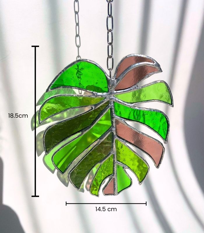 MONSTERA-1 (2)