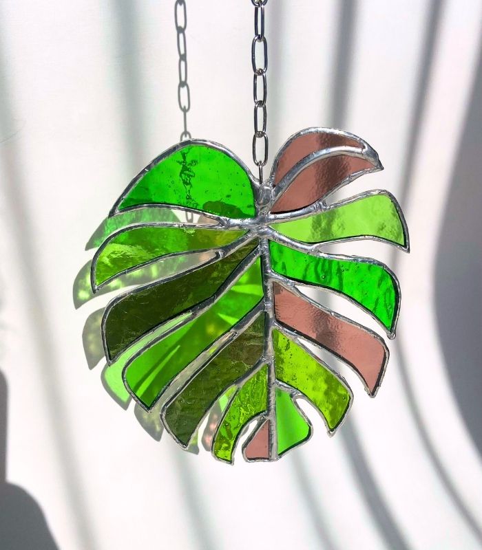 MONSTERA-1