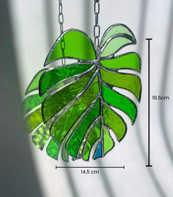 MONSTERA-2