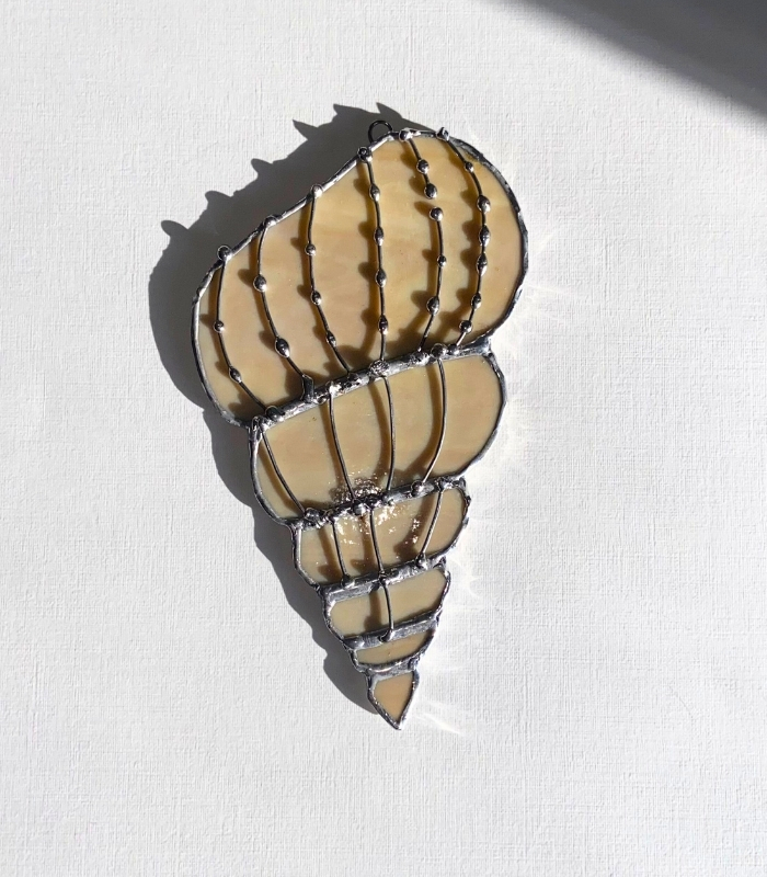 SEASHELL-2