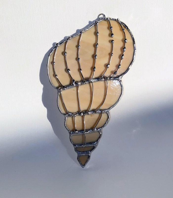 SEASHELL-2 (2)