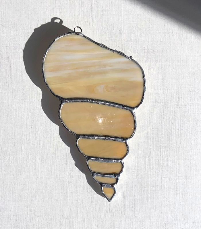SEASHELL-2 (3)