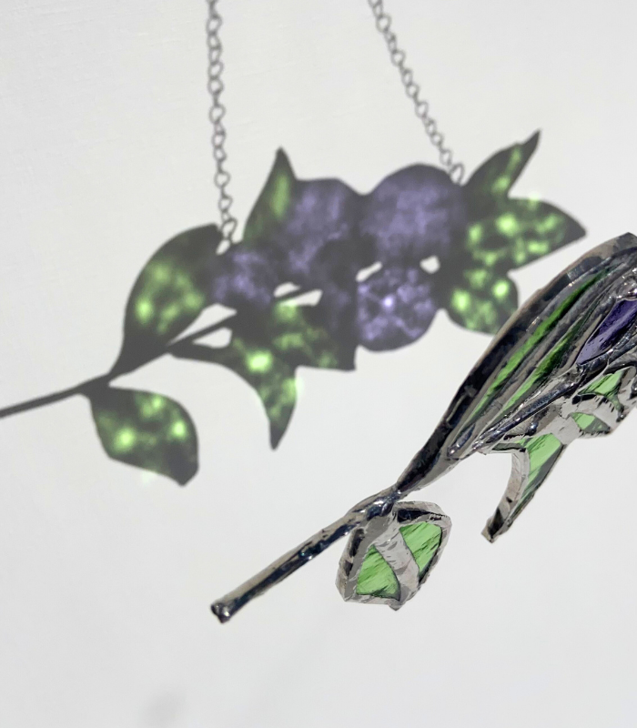 blueberrylight (5)